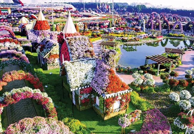 Miracle garden